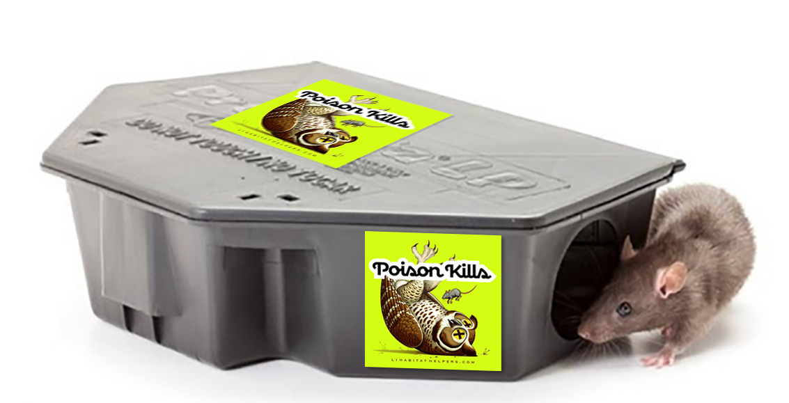 Sticker applied on public rat boxes