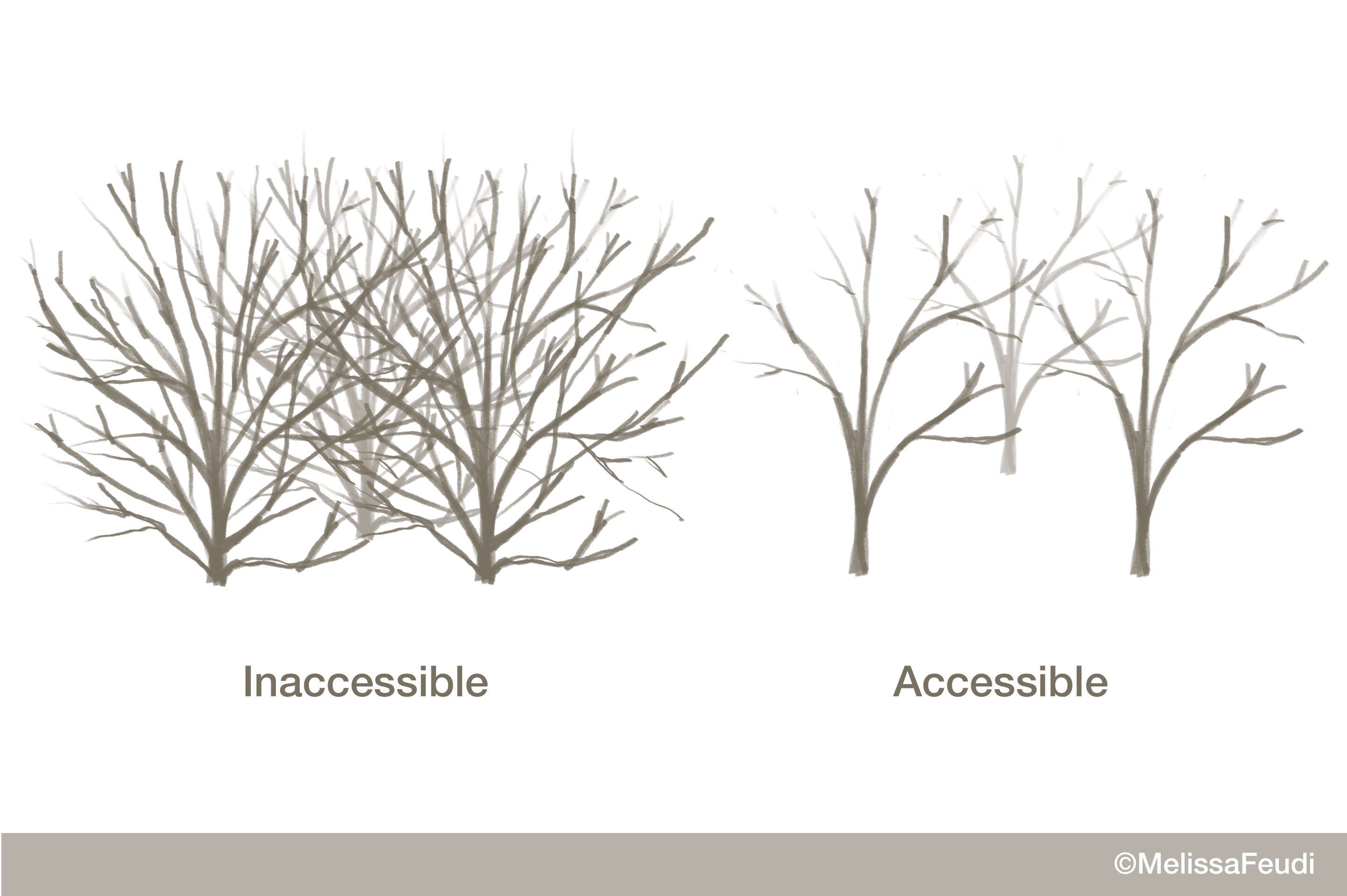 comparison of thickets