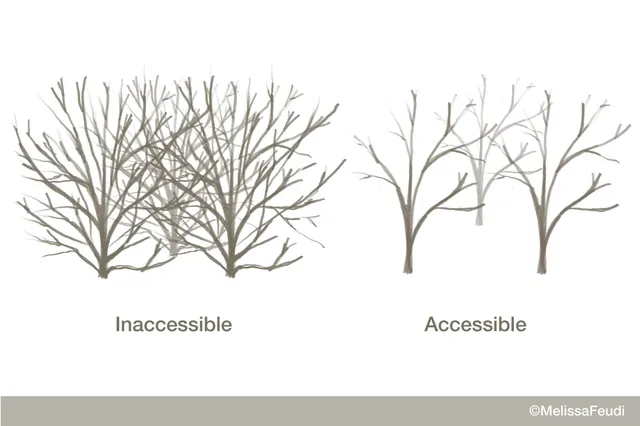comparison of thickets